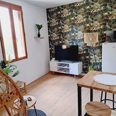 Le Jungle Appart, Centre Ville Narbonne Eksteriør bilde